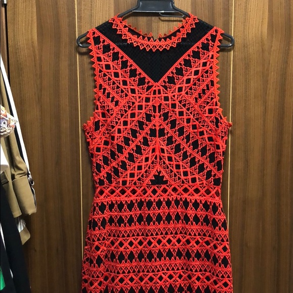 knee length dresses for ladies Fiona Guipure Midi Dress  SIMKHAI